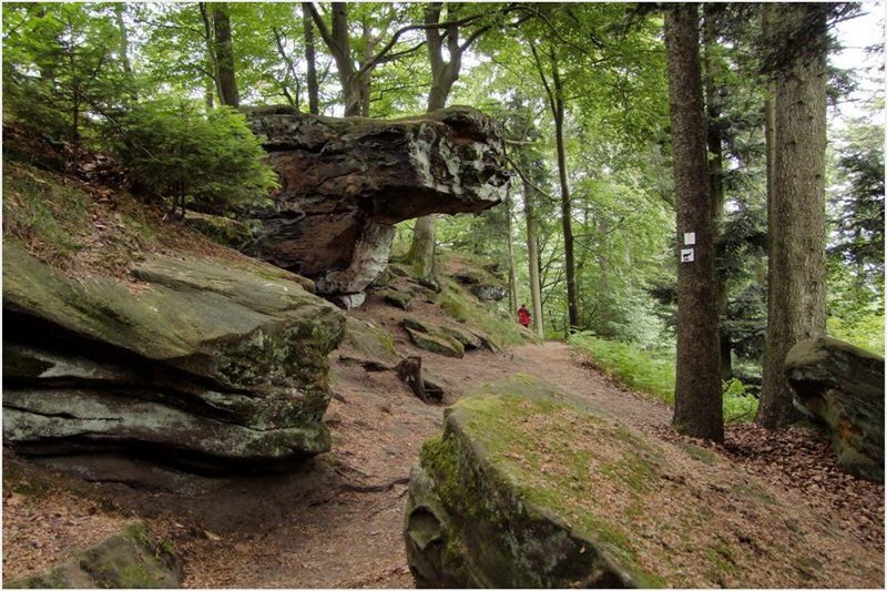 Waldweg mit großen Felsen, umgeben von Bäumen; im Hintergrund ist eine Person in roter Kleidung zu sehen.